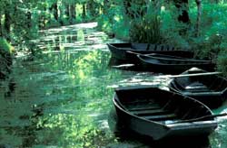 marais poitevin marais poitevin